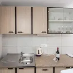 Djurkovic Apartment