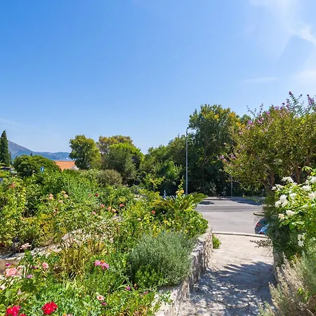 Apartment Djurkovic *