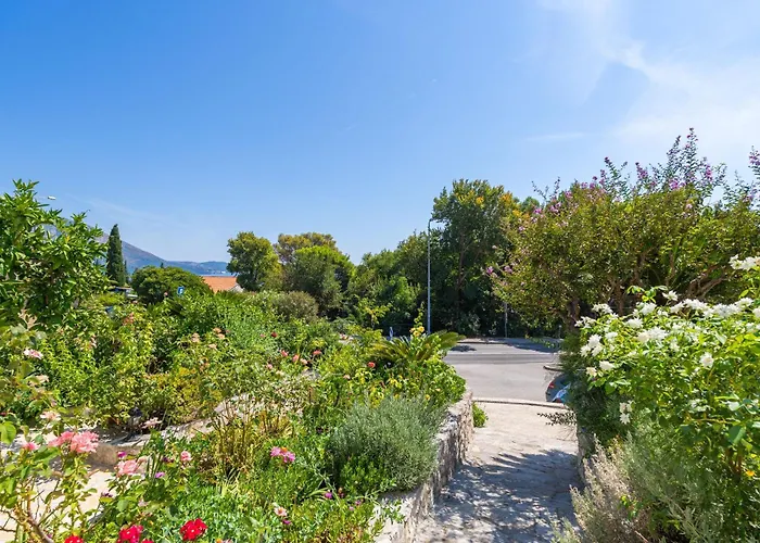 Apartment Djurkovic *